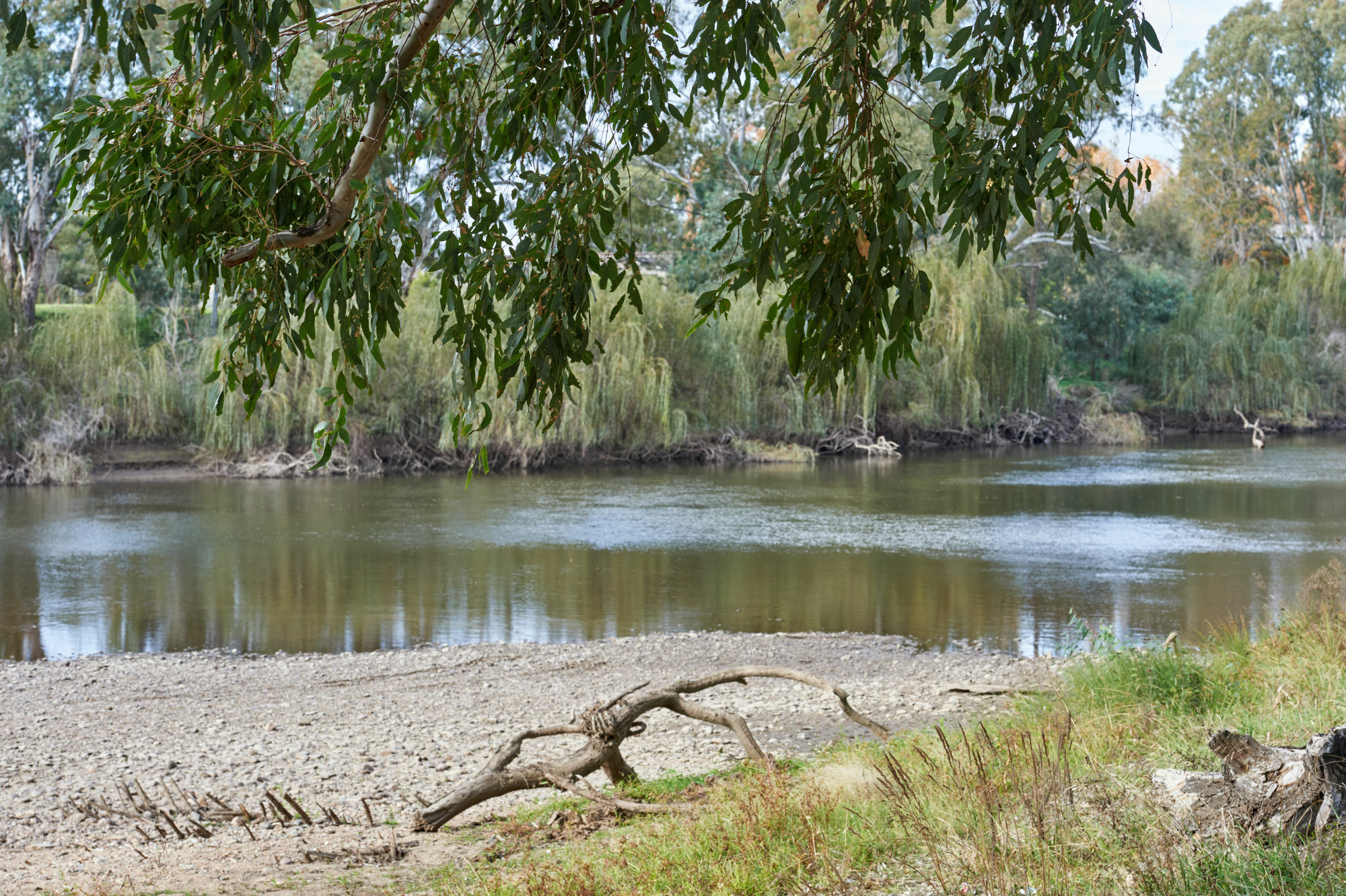 Gundagai Cabins & Tourist Park Ngoại thất bức ảnh